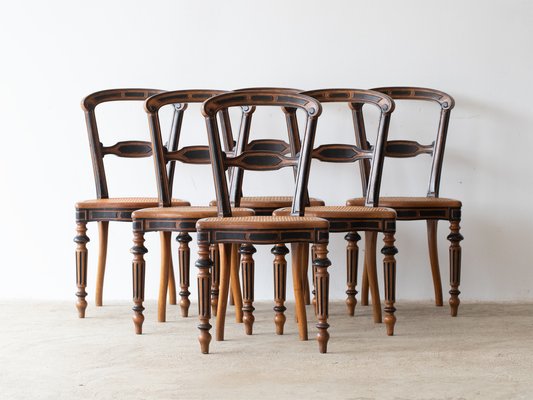Napoleon dining chairs deals