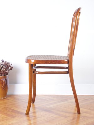 椅子 Thonet Bentwood Chair Art Nouveau Chair No.623 by Michael Thonet for Thonet, 1900s