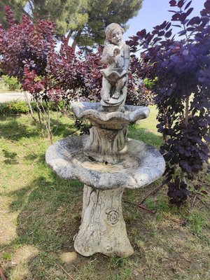 Mid-Century Garden Fountain, 1950s for sale at Pamono