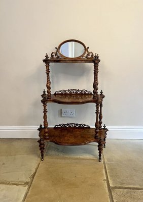 Antique Victorian Burr Walnut Whatnot, 1860 for sale at Pamono