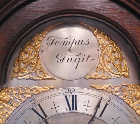 Reloj de abuelo Tempus Fugit de roble anos 20 en venta en Pamono