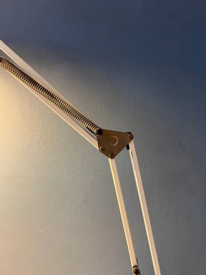 Lampada Da Scrivania LED Regolabile Con Morsetto - Vintage Nero, Max 60W