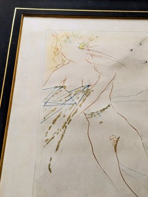 Salvador Dali: The Making of an Artist - books used and new