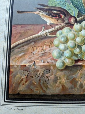 Joseph Nigg, Still Life with Flowers and Bird, Original Lithograph