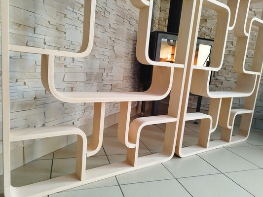 フランス ビンテージ room divider by Ludvik Volak 棚