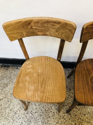 Set of Vintage Cafe Chairs by Thonet, 1920s for sale at Pamono