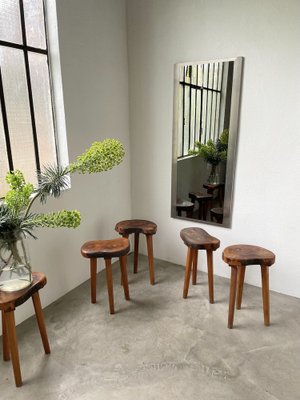 Dreibeinige Hocker aus Olivenbaum, 1950er, 5 . Set bei Pamono kaufen