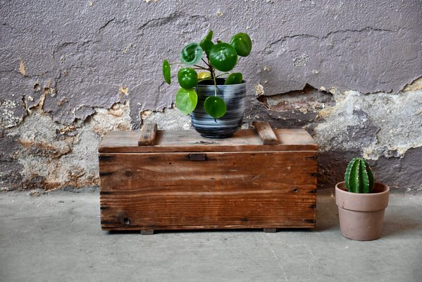 シェル レトロ木箱 『SHELL』Vintage wooden box シェル レトロ木箱 『SHELL』Vintage wooden box SHELL 木箱