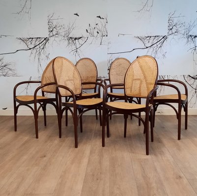 Bentwood and Rattan Dining Chairs from Thonet, 1982, Set of