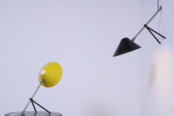 Herman Busquet ／ピノキオライト Herman Busquet ／ピノキオライト Herman Busquet ／ピノキオライト