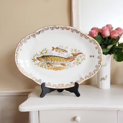 French Porcelain Fish Plates from Limoges, Set of 13 for sale at
