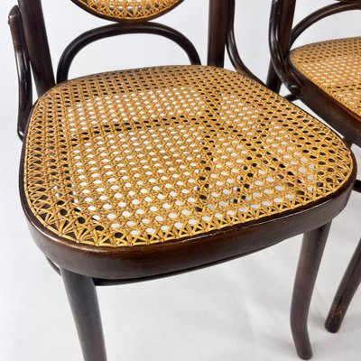 Bentwood cane dining chairs discount