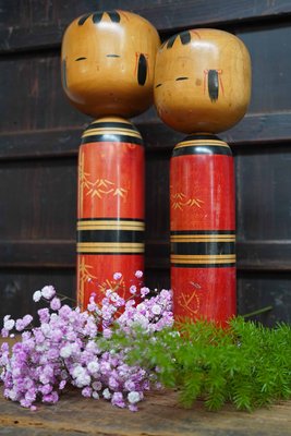 趣味・スポーツ・実用 Histoire des Kokeshis 趣味・スポーツ・実用 Histoire des Kokeshis Limited Edition