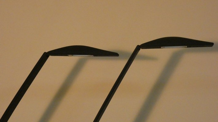 Dove Table Lamp by Mario Barbaglia & Marco Colombo for Dove Table Lamp by Mario Barbaglia & Marco Colombo for