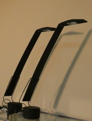 Dove Table Lamp by Mario Barbaglia & Marco Colombo for Dove Table Lamp by Mario Barbaglia & Marco Colombo for