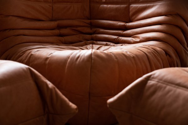 Brown Leather Togo Living Room Set by Michel Ducaroy for Ligne