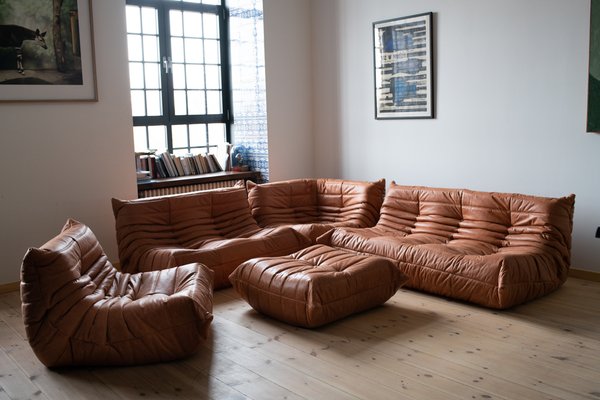 Michel ducaroy for ligne roset discount