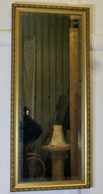 Decorative Long Narrow Gilt Dressing Mirror, 1960s for sale at Pamono