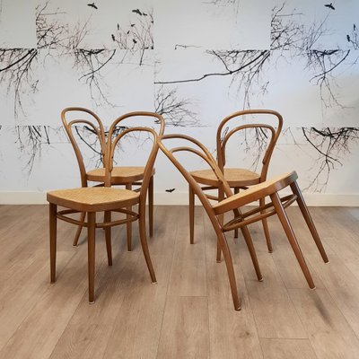214 R Chairs by Michael Thonet/Paul Stanoβek for Thonet, 1960s