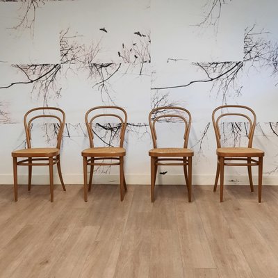 214 R Stühle von Michael Thonet/Paul Stanoβek für Thonet, 1960er