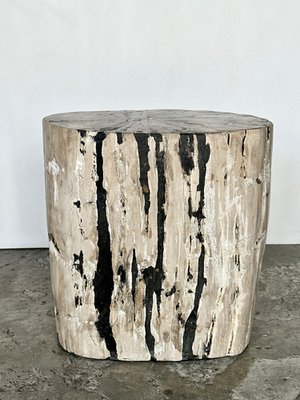 Side Table in White Oval Petrified Wood with Black Streaks