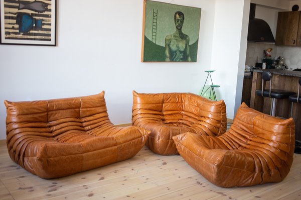 Pine Leather Togo Corner Lounge Chair Corner Seat 2 Seat Sofa by Michel Ducaroy for Ligne Roset Set of 3
