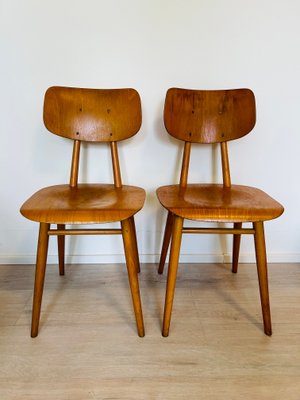 Ton chairs for sale hotsell