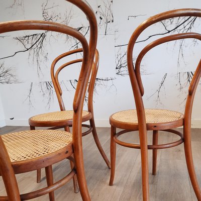 No. 14 Chairs by Josef Hofmann, 1900, Set of 6 for sale at Pamono