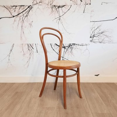 No. 14 Chairs by Josef Hofmann, 1900, Set of 6 for sale at Pamono