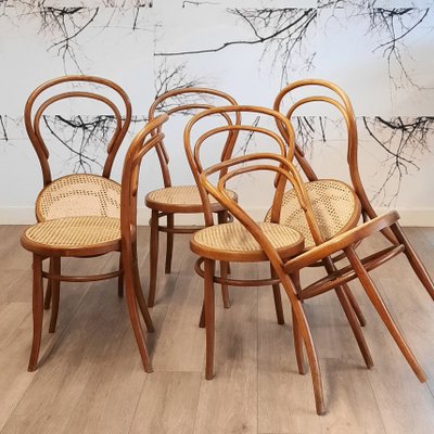 No. 14 Chairs by Josef Hofmann, 1900, Set of 6 for sale at Pamono