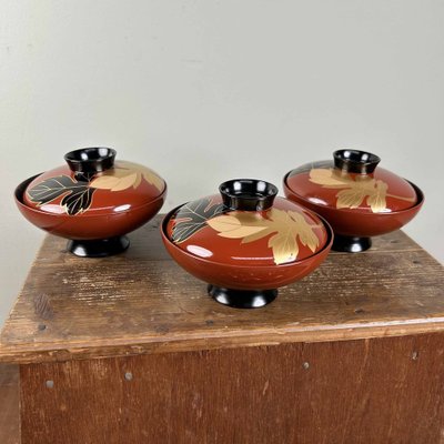 Wajima-Nuri Owan Serving Bowls, Japan, 1970s, Set of 10 for sale