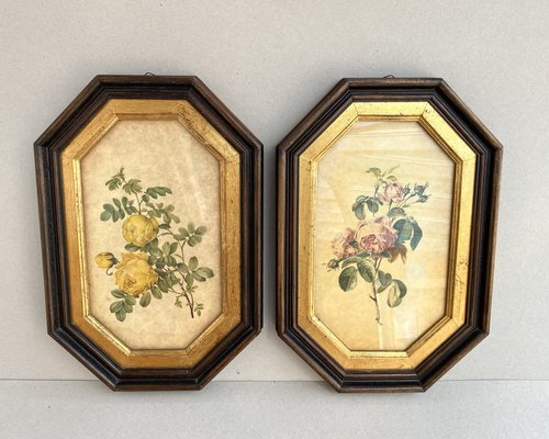Vintage Botanical Artworks in Tabletop & Wall Mount Frames, France