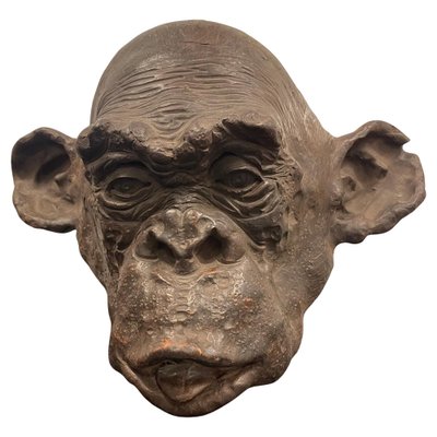 Bonobo Monkey Head Sculpture in Terracotta, 2019 for sale at Pamono
