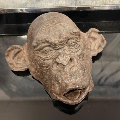 Bonobo Monkey Head Sculpture in Terracotta, 2019 for sale at Pamono