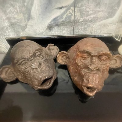 Bonobo Monkey Head Sculpture in Terracotta, 2019 for sale at Pamono