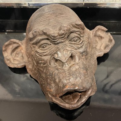 Bonobo Monkey Head Sculpture in Terracotta, 2019 for sale at Pamono