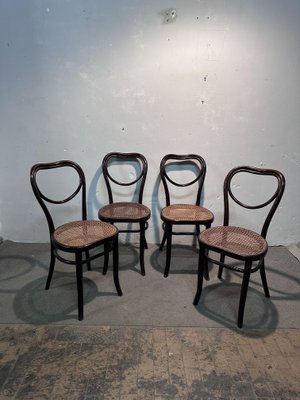 Sedia Thonet Sedie Ferro Nere Sedie Mondus Di Thonet, Set Di In