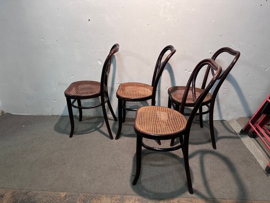 Mondus Chairs from Thonet Set of 4