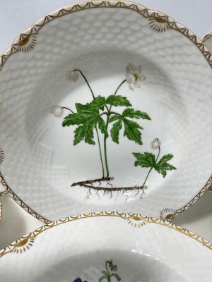 Flora Danica Porcelain Soup Plates by Bing & Grøndahl, Denmark