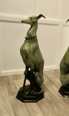 Large italian greyhound top