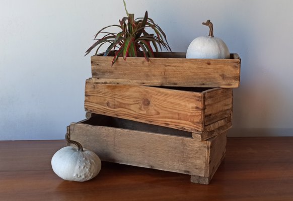 コレクション Vintage antique 1950' wood Box Vintage Wooden Boxes, 1950s, Set of 3 for sale at Pamono