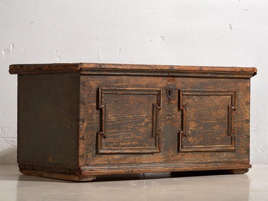 Antique Trunk with Pearl Gray Patina, 1900 for sale at Pamono