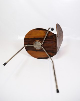 Ant Chairs Model 3101 in Rosewood by Arne Jacobsen for Fritz