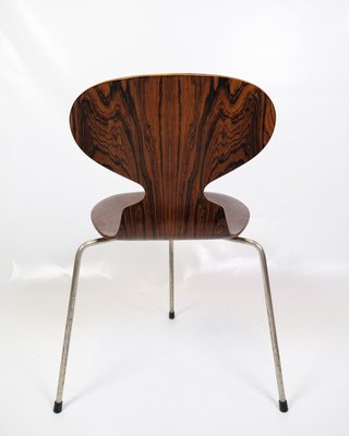 Ant Chairs Model 3101 in Rosewood by Arne Jacobsen for Fritz