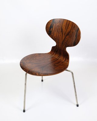 Ant Chairs Model 3101 in Rosewood by Arne Jacobsen for Fritz