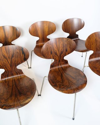 Arne Jacobsen Ant Chair ヴィンテージ ローズウッド Set of 4 Rosewood Ant Chairs by Arne Jacobsen for Fritz