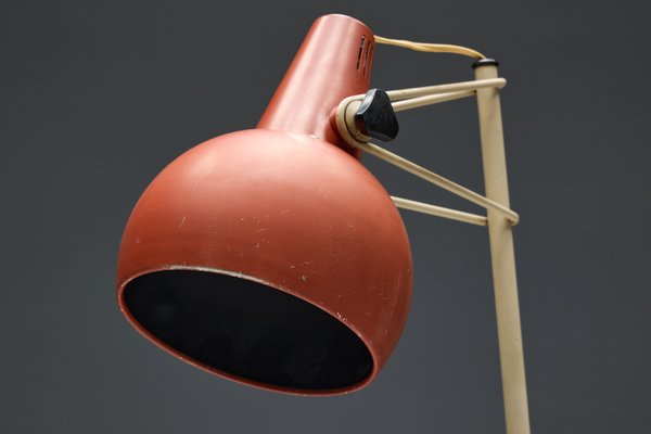 Nx29 Floor Lamp by Louis Kalff for Philips, Netherlands, 1950s for
