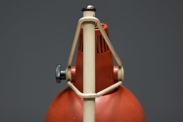 Nx29 Floor Lamp by Louis Kalff for Philips, Netherlands, 1950s for