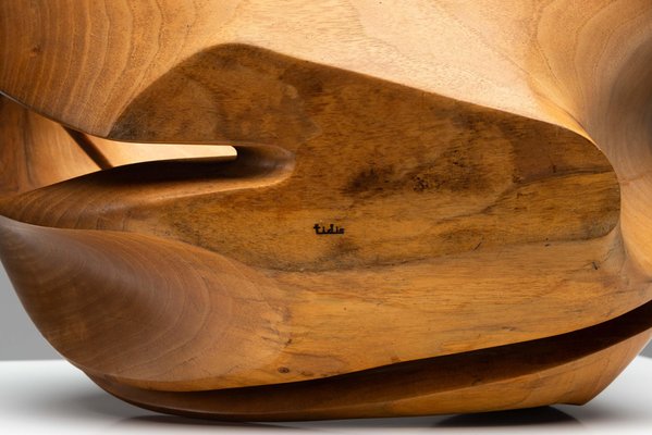 Vintage Belgian Organic Sculpture by Philippe Adamantidis, 1970