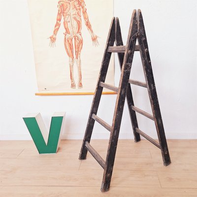 Antique Decorative Wooden Ladder, 1910s for sale at Pamono